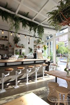 Botanical bar concept reference